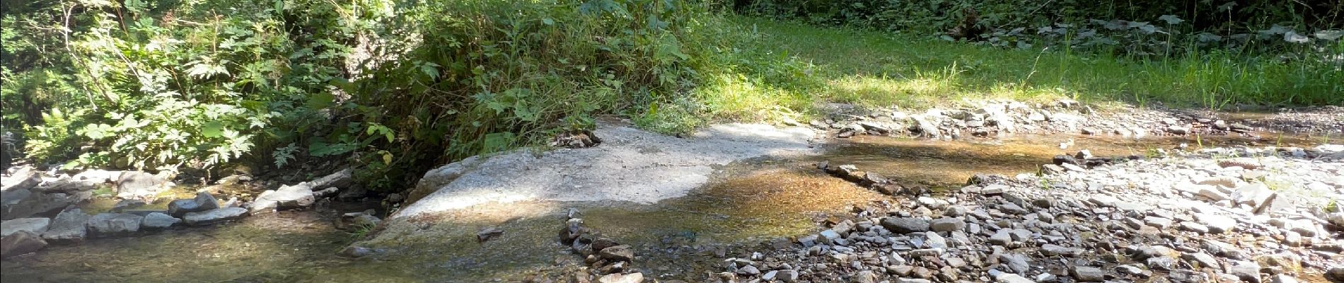 Tour Wandern La Côte-d'Arbroz - 11 MORZINE  - Photo