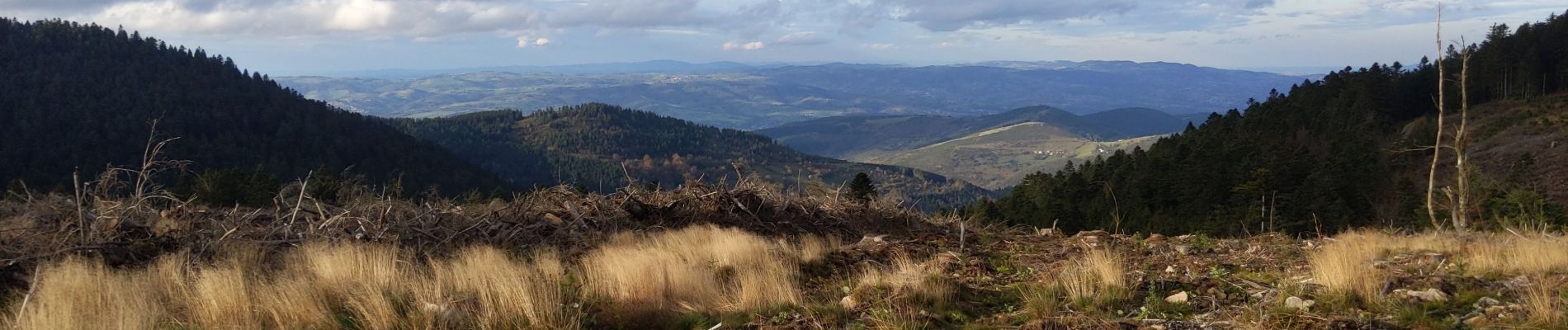 Trail Walking Le Bessat - La Scie Du Bost - Photo