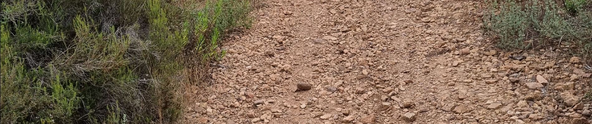 Tour Wandern Roquebrune-sur-Argens - z la Bouverie 17-09-24 - Photo