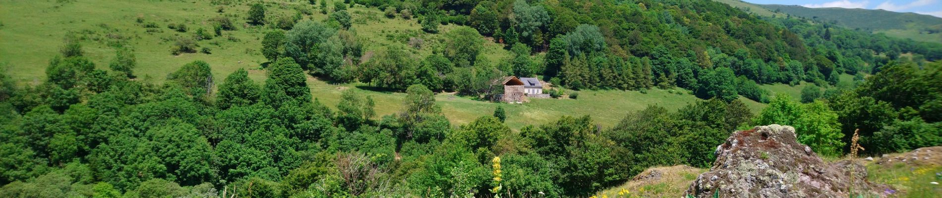 Trail Walking Lavigerie - Cantal - La Gravière - La Vallée de l'Impradine - 6km 170m 2h20 - 2019 07 03 - Photo