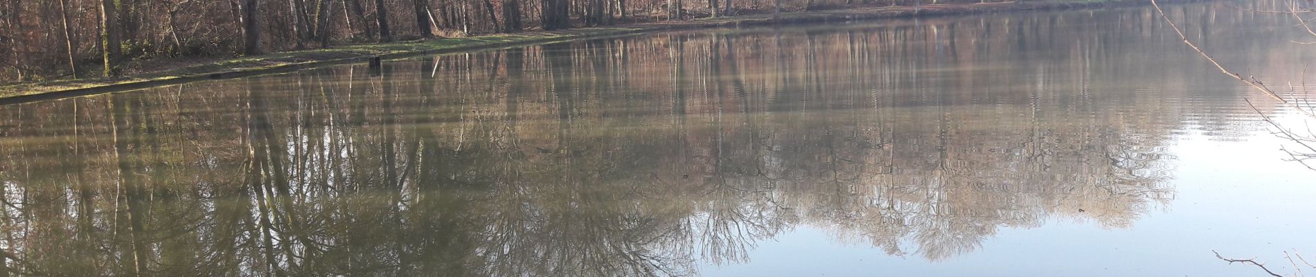 Excursión Senderismo Heimsbrunn - 2019.12.30.EtanGal.ĢalForetBurn.Hauliburg - Photo