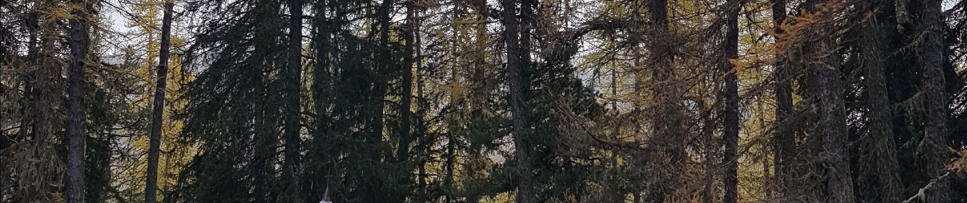 Randonnée Marche Crots - Lac du Lauzerot en boucle - Photo