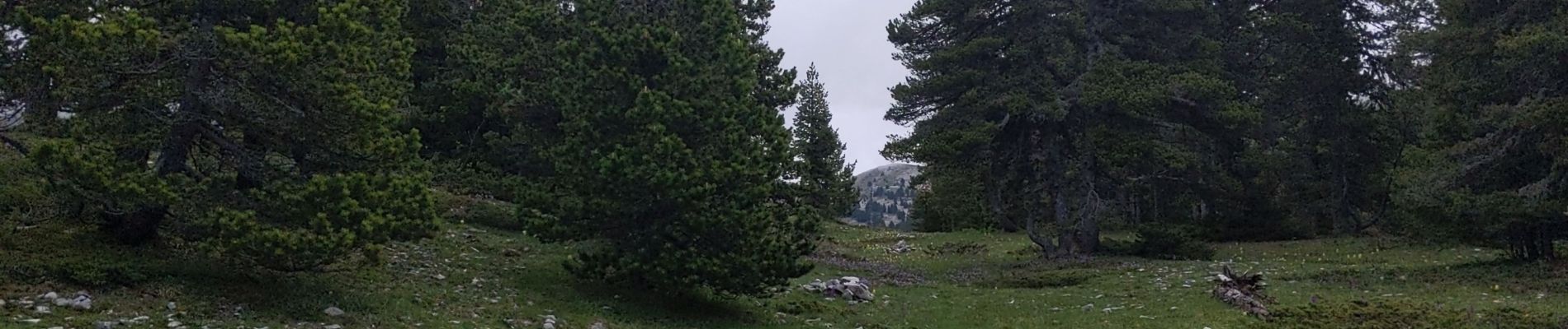 Tour Wandern Saint-Agnan-en-Vercors - pré râteau, pas de Berrieves, pas de la ville - Photo