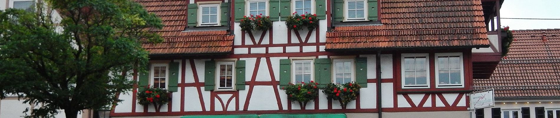 Randonnée A pied Bad Teinach-Zavelstein - Krokusweg - Photo