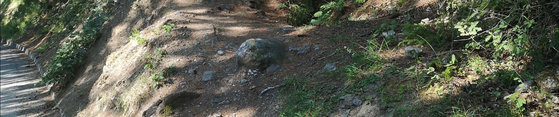 Excursión Marcha nórdica Ayent - etang de Lombardon  - Photo