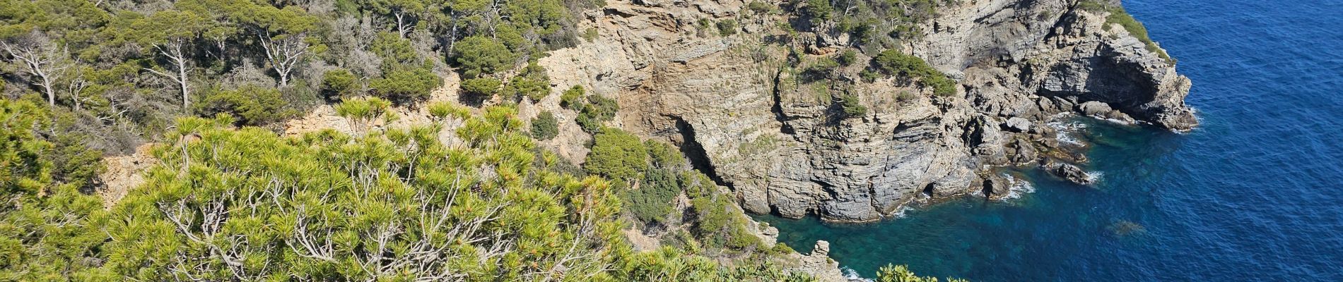 Tocht Stappen Hyères - Hyères - La presqu'île de Giens - Circuit côtier ouest  - Photo