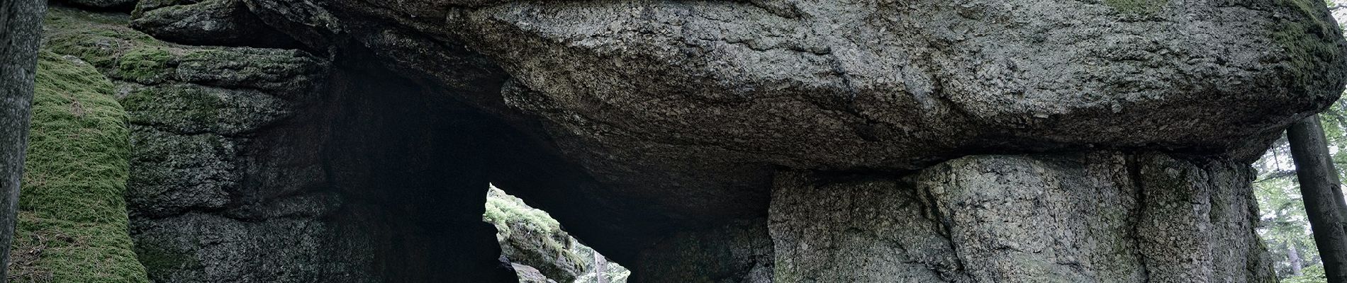 Randonnée A pied Waldhausen im Strudengau - Ausblicksrunde - Photo