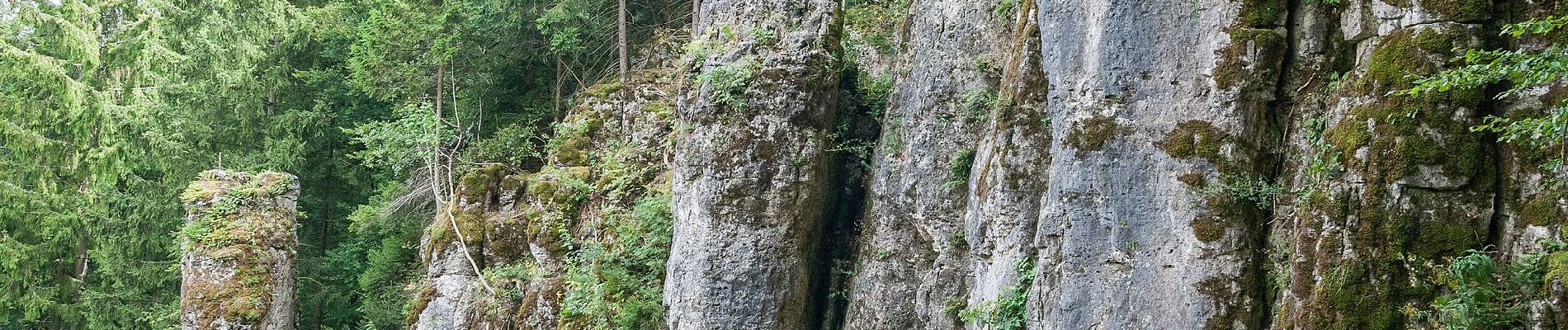 Percorso A piedi Velburg - Lengenfeld - Tropfsteinhöhle - Photo