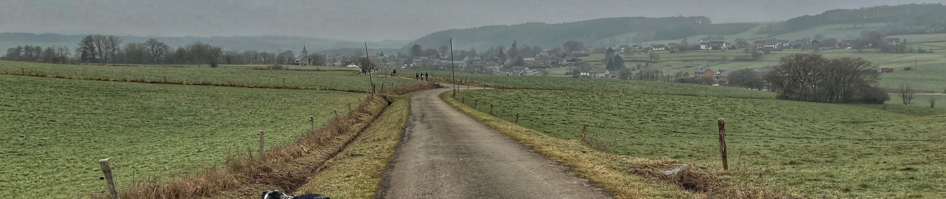 Tour Wandern Nassogne - ADEPS Bande - Photo