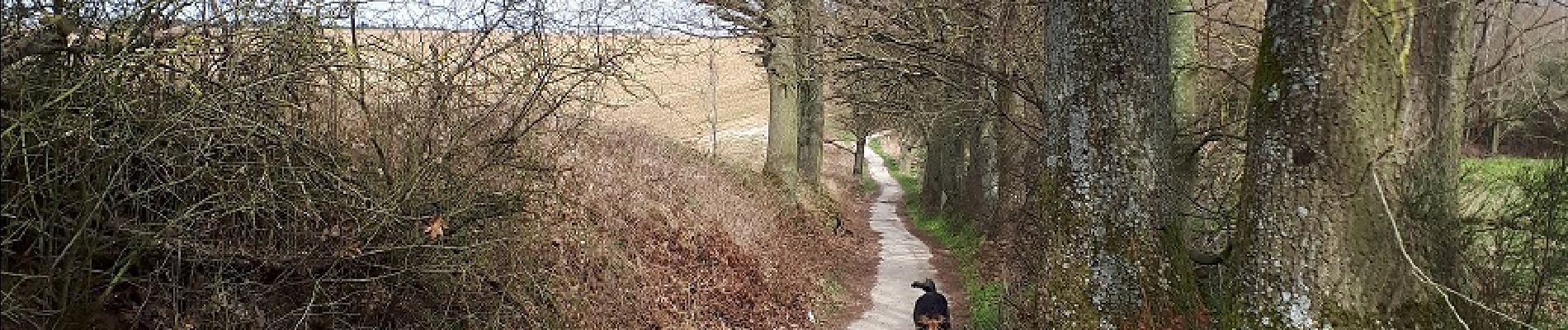 Excursión Senderismo Villers-la-Ville - Le Huit du Footvillers - Photo