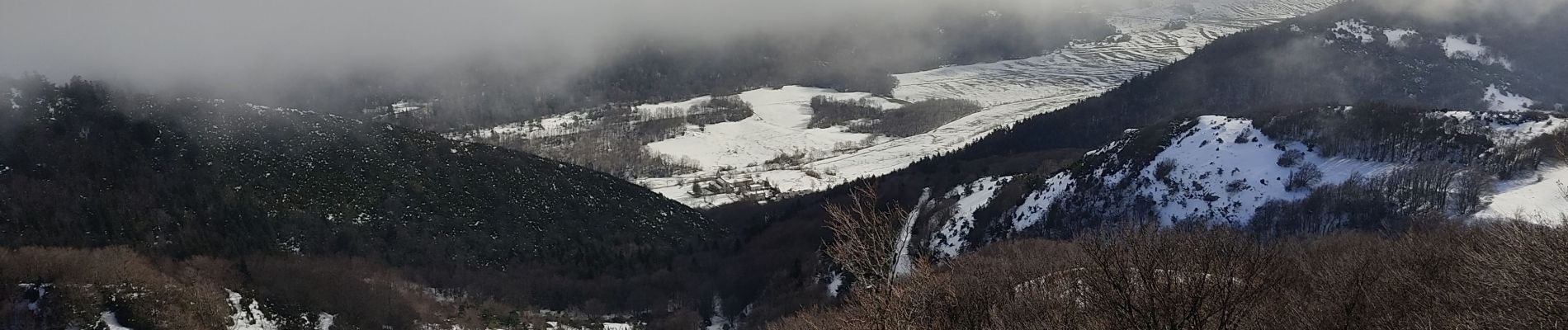 Percorso Racchette da neve Léoncel - Pierre chauve - Photo