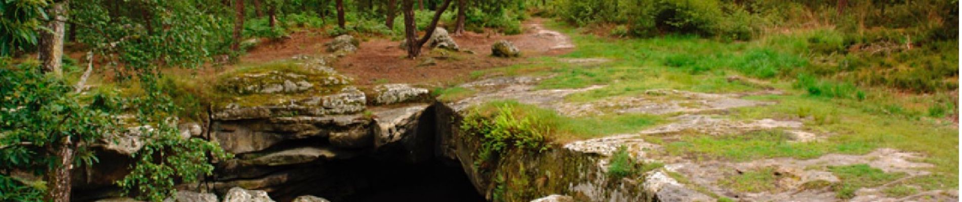 Tocht Stappen Fontainebleau - TMF2 ( Michel ) - Photo