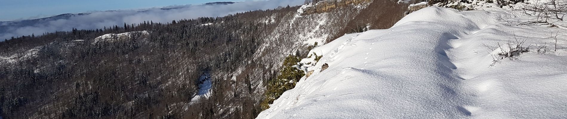 Tour Schneeschuhwandern Les Bouchoux - Orvaz raquettes2 - Photo