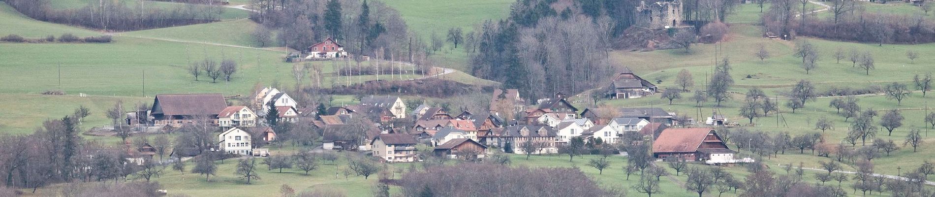 Excursión A pie Hohenrain - Horben - Lieli - Photo