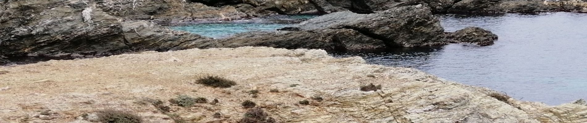 Percorso Sentiero Six-Fours-les-Plages - Île de Gaou - Photo