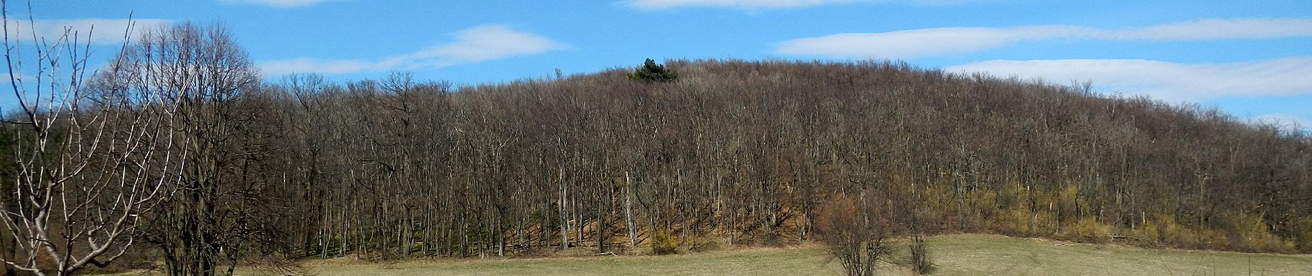 Excursión A pie Gemeinde Kaltenleutgeben - SISI Rundwanderweg - Photo