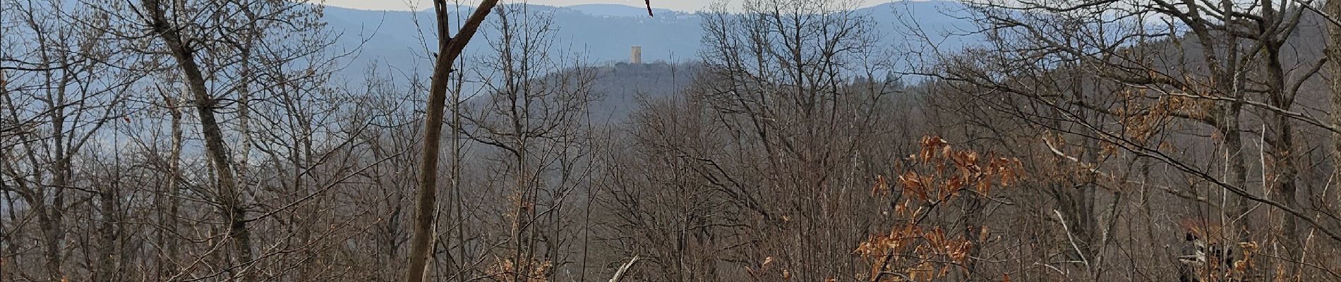 Trail Walking Wintzenheim - Boucle de la fontaine de la dame  - Photo