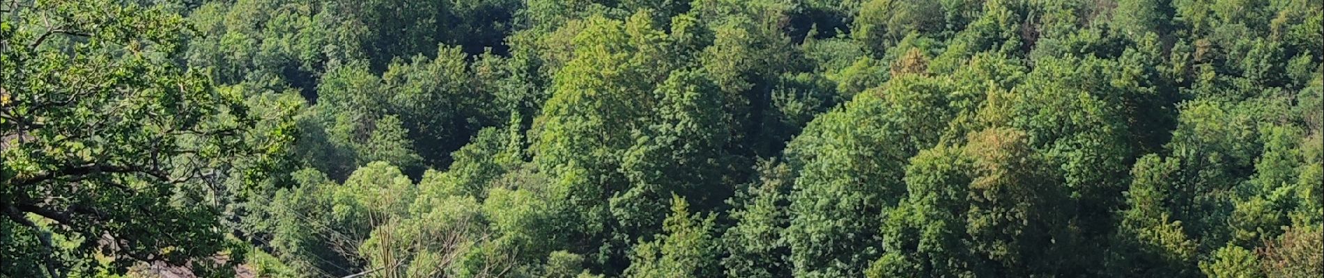 Tour Wandern Yvoir - Yvoir, boucle sur les roches, réserve de Champalle - Photo