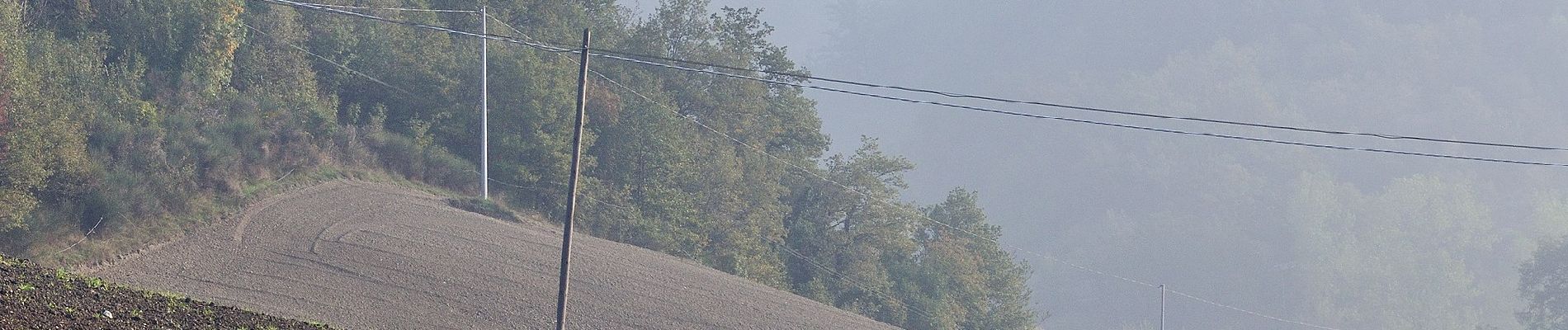 Percorso A piedi Vezzano sul Crostolo - Montalto - Monte Duro - Casa Cuccagna - Montalto - Photo