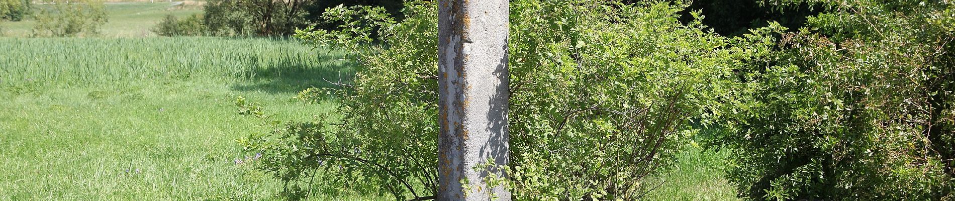 Tour Zu Fuß Seßlach - Wanderweg Unterelldorf - Photo