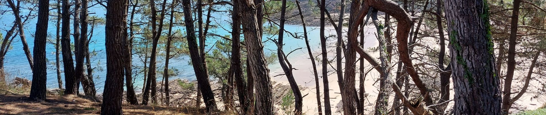 Randonnée Marche Erquy - LES PLAGES SAUVAGES A ERQUY - Photo