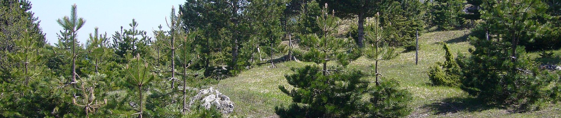 Percorso A piedi Pretoro - Pretoro - Sentiero E3 Colle dell'Angelo - Photo