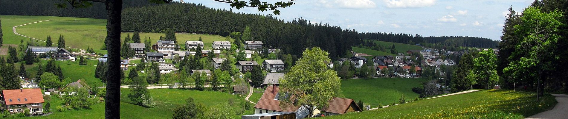 Tour Zu Fuß Furtwangen im Schwarzwald - Furtwangen - Escheck - Photo