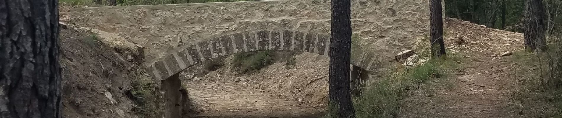 Randonnée Marche Peyrolles-en-Provence - loubatas-Camp Chinois-retour par les vallons - Photo