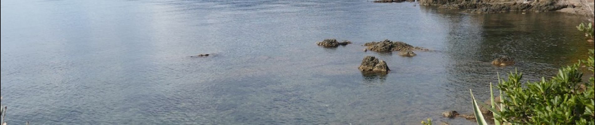 Tour Wandern La Croix-Valmer - Littoral baie de Cavalaire - Photo