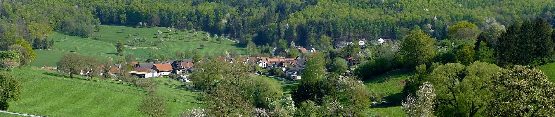 Tour Zu Fuß Modautal - Rundwanderweg Modautal 2 - Photo