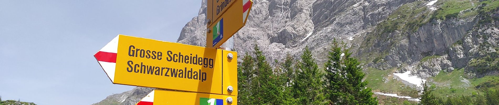 Tour Zu Fuß Grindelwald - CH-Abzweigung Gleckstein - Glecksteinhütte - Photo