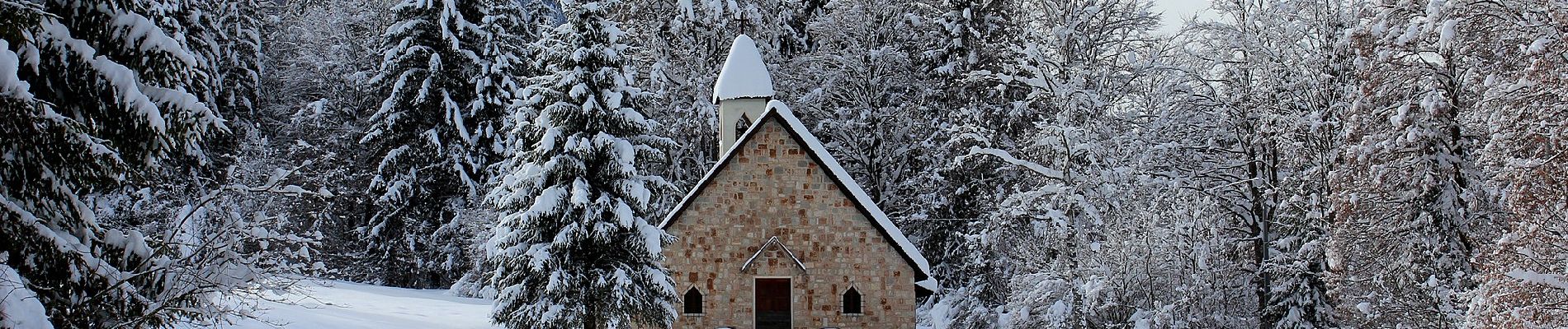 Tocht Te voet Borgo Valsugana - IT-E210 - Photo