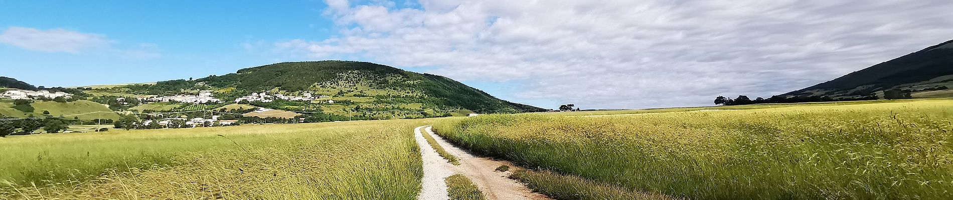Randonnée A pied Foligno - Perimetro Palude di Colfiorito - Photo