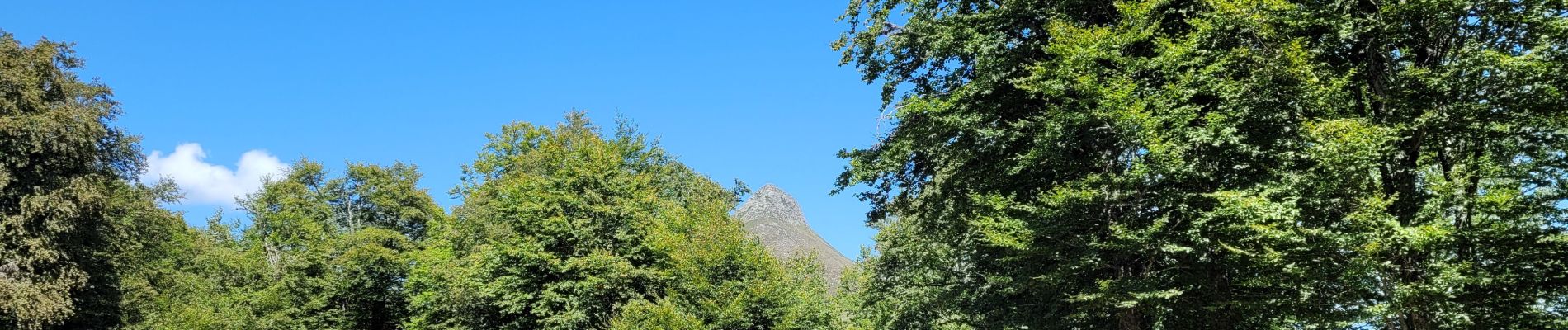 Tocht Stappen Laveissière - cascade du Luc par Liadouze - Photo