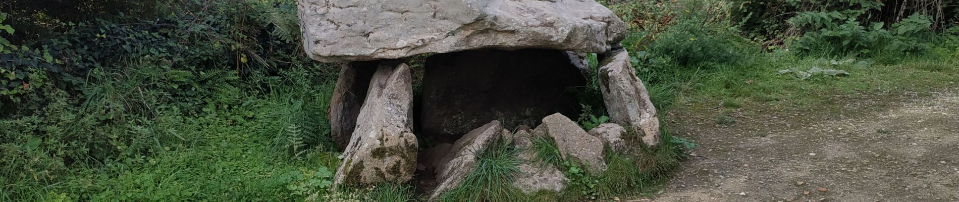 Excursión Senderismo Île-aux-Moines - 2023-09-23 île aux moines pointe du nioul - Photo