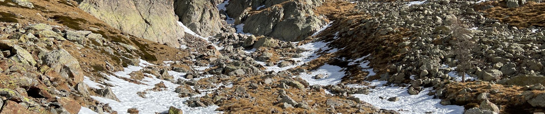 Tour Schneeschuhwandern Saint-Martin-Vésubie - Cime du Mercantour  2 - Photo