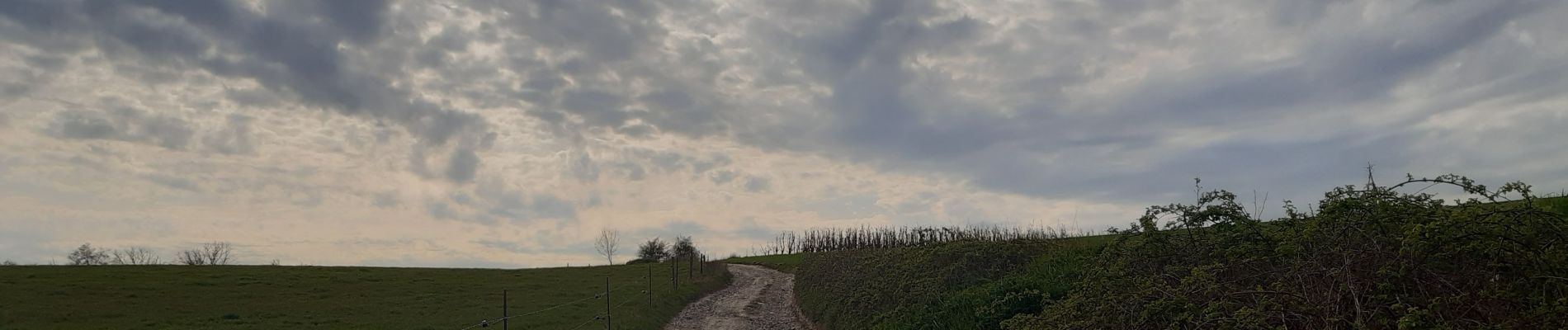 Tocht Stappen Oupeye - promenade au pays des macrales - Photo