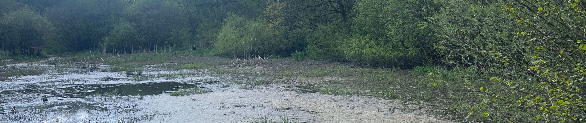 Randonnée Marche Fosses-la-Ville - Tour des lacs de Bambois - Photo