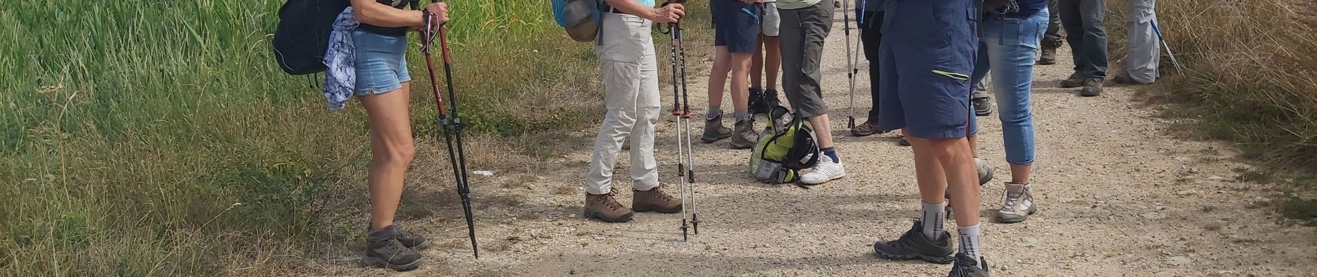 Randonnée Marche Altkirch - rando Lerchenberg Altkirch - Photo