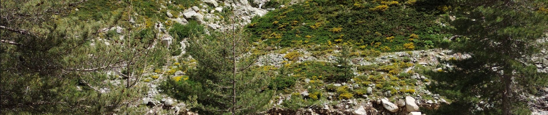 Tocht Stappen Corte - lac de Melo départ frasseta - Photo