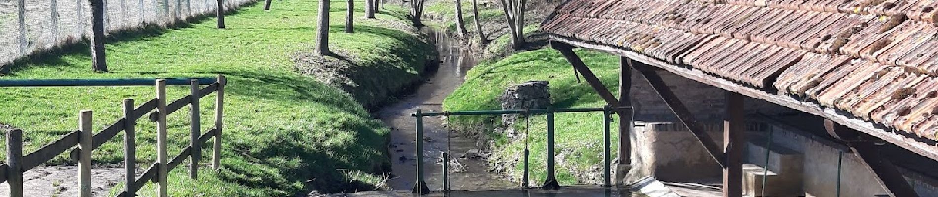 Excursión A pie Esternay - ESTERNAY : à l'est d'Esternay - Photo