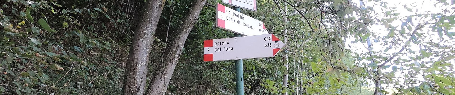 Percorso A piedi Caprino Bergamasco - Sentiero 808: Località Foppa - Coldara - Photo