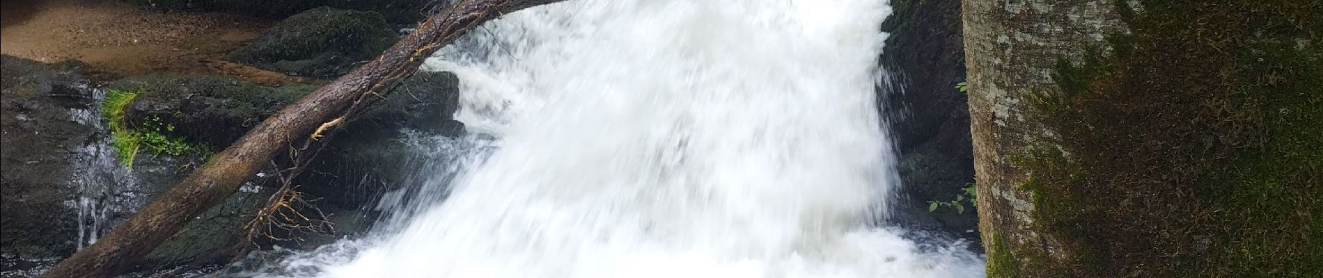 Percorso Marcia Ferrières-sur-Sichon - Grotte des fées y cascade  - Photo