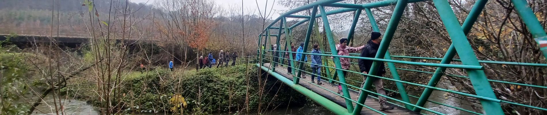 Excursión Senderismo Ham-sur-Heure-Nalinnes - 2023.11.30. Tamalous de la Botte  - Photo