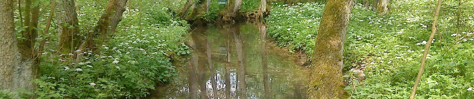 Randonnée A pied Sulzbach-Rosenberg - Siebeneichener Rundwanderweg - Photo