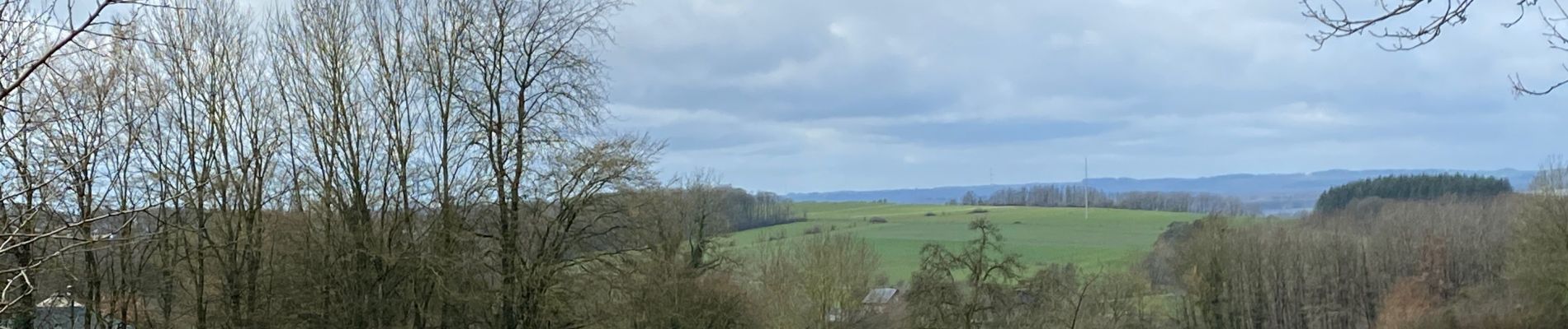 Tocht Stappen Marche-en-Famenne - Champlon  -Famenne - Photo