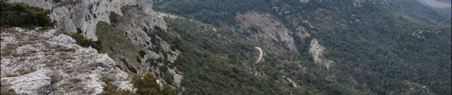 Trail Walking Pourcieux - Pourcieux - ¨Pas des Ifs, de la Croix et de Titet - Olympe - Rocher de Onze Heures - Croix de Pourcieux - Photo