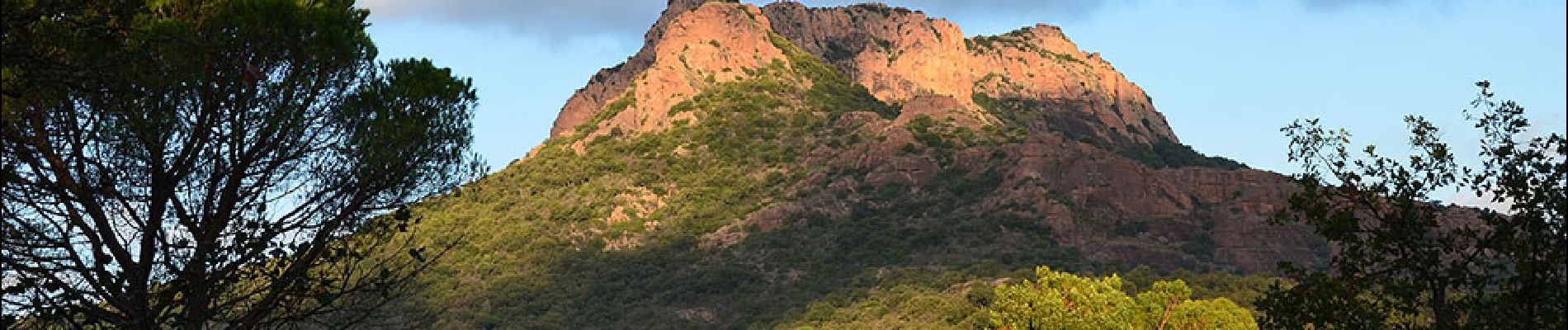 Trail Walking Roquebrune-sur-Argens - Roquebrune - Les Campons - Photo