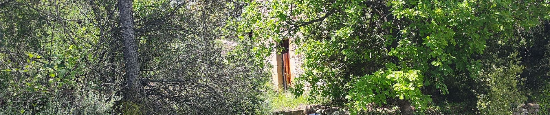 Randonnée Marche Saint-Chinian - rando st chinian notre dame de Nazareth chemin de croix et moulin  - Photo