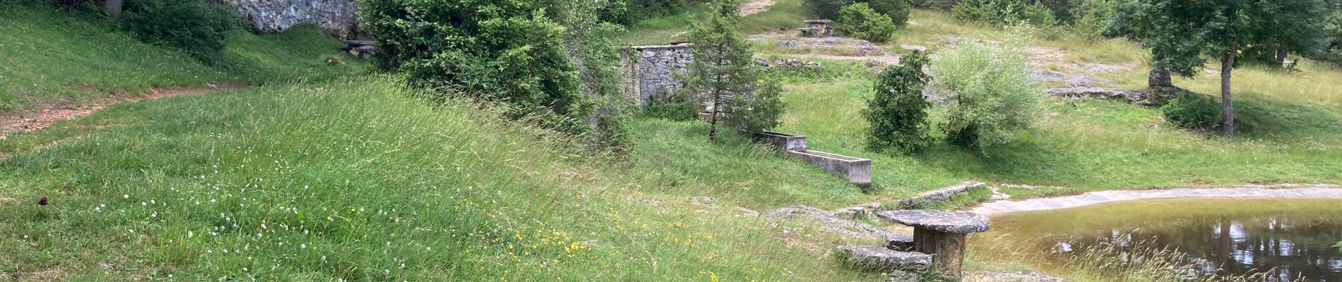 Trail Nordic walking Massegros Causses Gorges - Point sublime et tour du Causse de Sauveterre - Photo